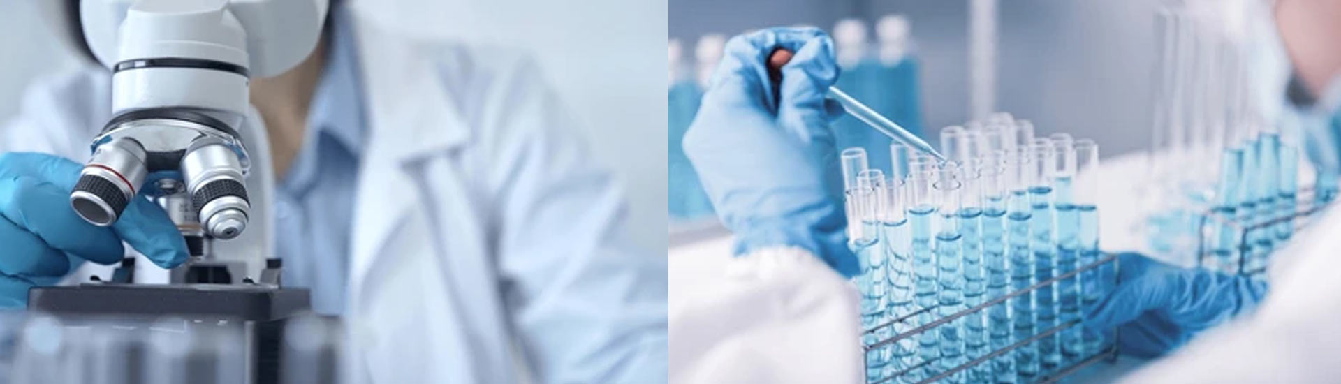 What are Acids and Bases? | Class 10 Chemistry Guide by Eduslove